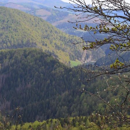 Penzion Thamasy Spišské Tomášovce Екстериор снимка
