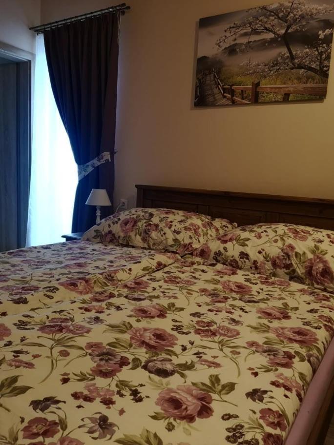 Penzion Thamasy Spišské Tomášovce Екстериор снимка